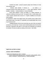 Diplomdarbs 'Adaptācijas procesa īpatnības darbā ar personām ar garīga rakstura traucējumiem', 29.