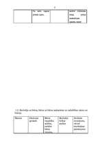 Prakses atskaite 'Prakse pirmsskolā', 4.