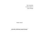 Referāts 'Latviešu strēlnieku kaujas', 1.