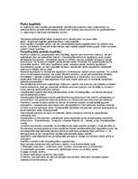 Konspekts 'Pašu kapitāls', 1.