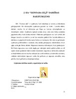 Biznesa plāns 'Uzņēmuma SIA "Dzintara ceļš" ekonomiskās darbības plānošana un analīze', 15.