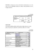 Biznesa plāns 'Uzņēmuma SIA "Dzintara ceļš" ekonomiskās darbības plānošana un analīze', 40.