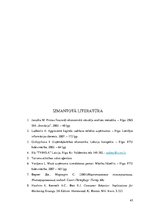 Biznesa plāns 'Uzņēmuma SIA "Dzintara ceļš" ekonomiskās darbības plānošana un analīze', 45.