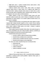 Referāts 'Uzņēmuma finansiālā stāvokļa noteikšana un analīze', 3.