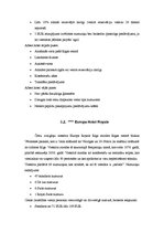 Referāts 'Viesnīcas "Radisson Blu Rīdzene" analīze', 10.