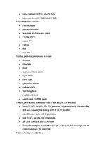 Referāts 'Viesnīcas "Radisson Blu Rīdzene" analīze', 15.