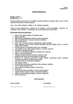 Paraugs 'Amata instrukcija direktoram', 1.