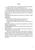 Referāts 'Plakanās pēdas iespējamība Bēnes vidusskolas skolēniem', 5.