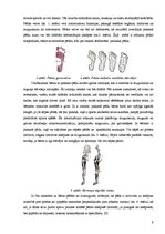 Referāts 'Plakanās pēdas iespējamība Bēnes vidusskolas skolēniem', 9.