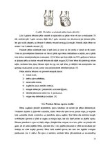 Referāts 'Plakanās pēdas iespējamība Bēnes vidusskolas skolēniem', 10.