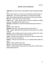 Referāts 'Plakanās pēdas iespējamība Bēnes vidusskolas skolēniem', 24.