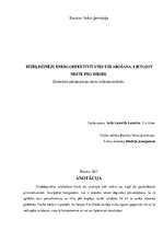 Referāts 'Zinātniskais darbs par Neste Pro Diesel energoefektivitāti', 1.