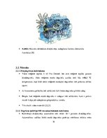 Referāts 'Zinātniskais darbs par Neste Pro Diesel energoefektivitāti', 16.