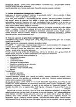 Konspekts 'Vardarbības socioloģija', 8.