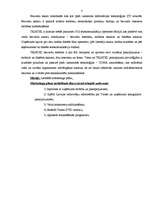 Referāts 'Mārketinga plāns SIA "Triatel"', 3.