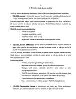 Referāts 'Mārketinga plāns SIA "Triatel"', 14.