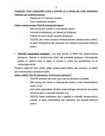 Referāts 'Mārketinga plāns SIA "Triatel"', 15.