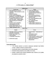 Referāts 'Mārketinga plāns SIA "Triatel"', 16.