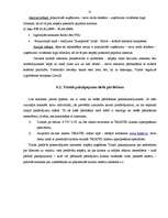 Referāts 'Mārketinga plāns SIA "Triatel"', 21.