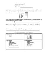 Referāts 'Mārketinga plāns SIA "Triatel"', 24.