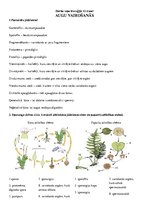 Konspekts 'Augu vairošanās', 1.