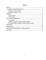 Referāts 'Ārējā komunikācija zīmola "Madara" vadīšanā', 2.