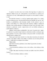 Referāts 'Ārējā komunikācija zīmola "Madara" vadīšanā', 3.