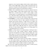 Referāts 'Ārējā komunikācija zīmola "Madara" vadīšanā', 7.