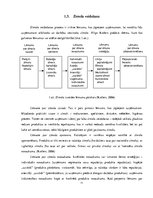 Referāts 'Ārējā komunikācija zīmola "Madara" vadīšanā', 11.