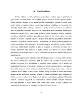 Referāts 'Ārējā komunikācija zīmola "Madara" vadīšanā', 13.