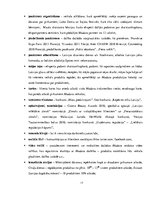 Referāts 'Ārējā komunikācija zīmola "Madara" vadīšanā', 17.