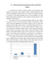 Referāts 'Ārējā komunikācija zīmola "Madara" vadīšanā', 19.