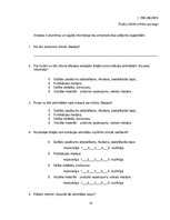 Referāts 'Ārējā komunikācija zīmola "Madara" vadīšanā', 29.