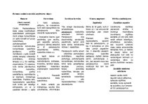 Konspekts 'Biznesa audekls sociālā uzņēmuma idejai', 3.