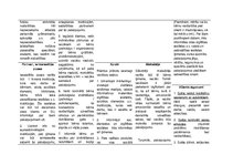 Konspekts 'Biznesa audekls sociālā uzņēmuma idejai', 4.