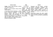 Konspekts 'Biznesa audekls sociālā uzņēmuma idejai', 6.