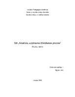 Referāts 'SIA "Amadora" uzņēmuma dibināšanas process', 1.