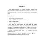 Referāts 'SIA "Amadora" uzņēmuma dibināšanas process', 3.