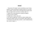 Referāts 'SIA "Amadora" uzņēmuma dibināšanas process', 5.