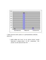 Referāts 'SIA "Amadora" uzņēmuma dibināšanas process', 9.