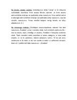 Referāts 'SIA "Amadora" uzņēmuma dibināšanas process', 13.