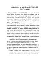 Referāts 'SIA "Amadora" uzņēmuma dibināšanas process', 14.