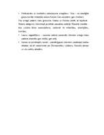 Referāts 'SIA "Amadora" uzņēmuma dibināšanas process', 15.