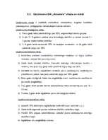 Referāts 'SIA "Amadora" uzņēmuma dibināšanas process', 18.