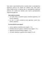 Referāts 'SIA "Amadora" uzņēmuma dibināšanas process', 23.