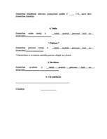 Referāts 'SIA "Amadora" uzņēmuma dibināšanas process', 31.