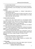 Prakses atskaite 'Prakses atskaite SIA "xxx"', 8.