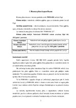 Biznesa plāns 'SIA "Primark 123" biznesa plāns', 3.