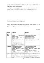 Biznesa plāns 'SIA "Primark 123" biznesa plāns', 10.