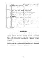 Biznesa plāns 'SIA "Primark 123" biznesa plāns', 12.